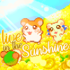 Hamtaro