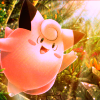 Pokémon