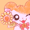 Hamtaro